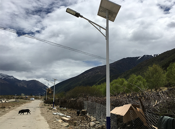 新農(nóng)村鄉(xiāng)村道路太陽能路燈安裝實例效果圖