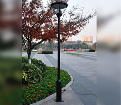 公園2.5-3.5米單頭現(xiàn)代庭院燈