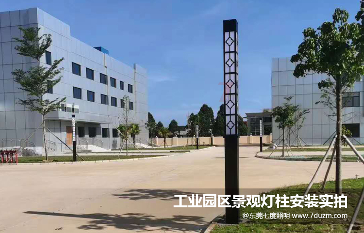 工業(yè)園區(qū)方形景觀燈柱安裝后實(shí)拍