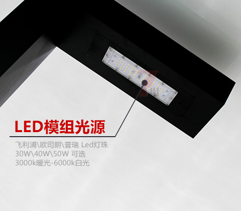 QDTYD-019現(xiàn)代園林步道7字形LED庭院燈上裝光源細節(jié)展示